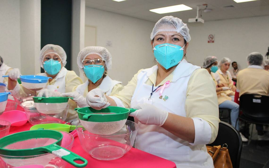 “Providing Support for Breast Cancer Patients: IMSS Workshop in San Juan del Río”