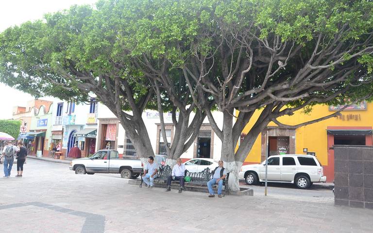 Talarán árboles enfermos del Centro - El Sol de San Juan del Río | Noticias  Locales, Policiacas, de México, Querétaro y el Mundo