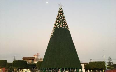 Árboles de Navidad - El Sol de San Juan del Río | Noticias Locales,  Policiacas, de México, Querétaro y el Mundo