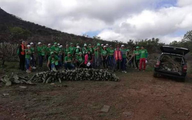 Club de Leones desarrolla labor social - El Sol de San Juan del Río |  Noticias Locales, Policiacas, de México, Querétaro y el Mundo