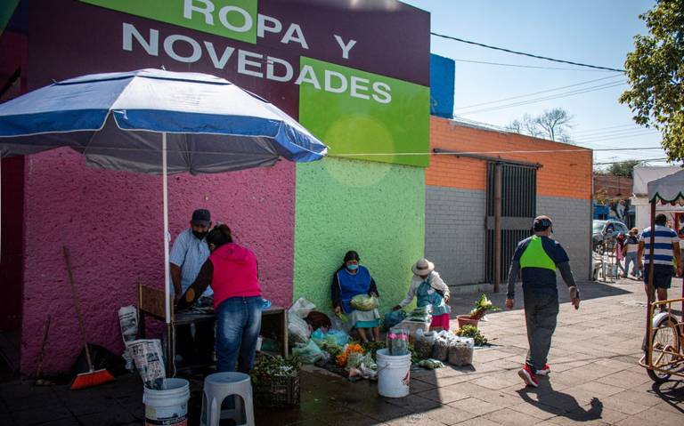 En Amealco detonan venta de árboles naturales de Navidad, fiestas  decembrinas, ecología, Árboles de Navidad Naturales Amealco - El Sol de San  Juan del Río | Noticias Locales, Policiacas, de México, Querétaro