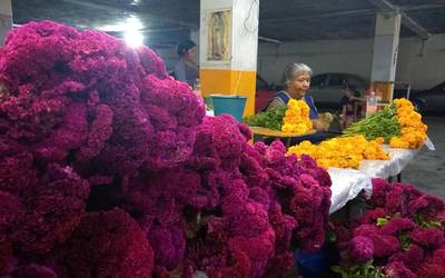 Colocaron puestos de temporada en mercado - El Sol de San Juan del Río |  Noticias Locales, Policiacas, de México, Querétaro y el Mundo