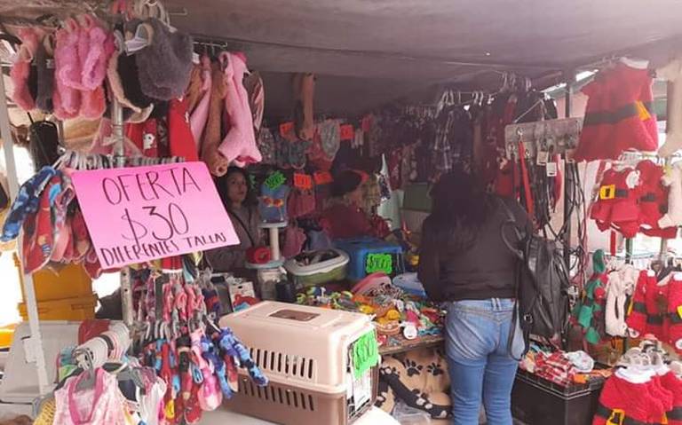 Prevención historia Monopolio Realizan todo tipo de ropa para mascotas - El Sol de San Juan del Río |  Noticias Locales, Policiacas, de México, Querétaro y el Mundo